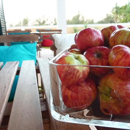 Casal Das Oliveiras Setúbal Buitenkant foto