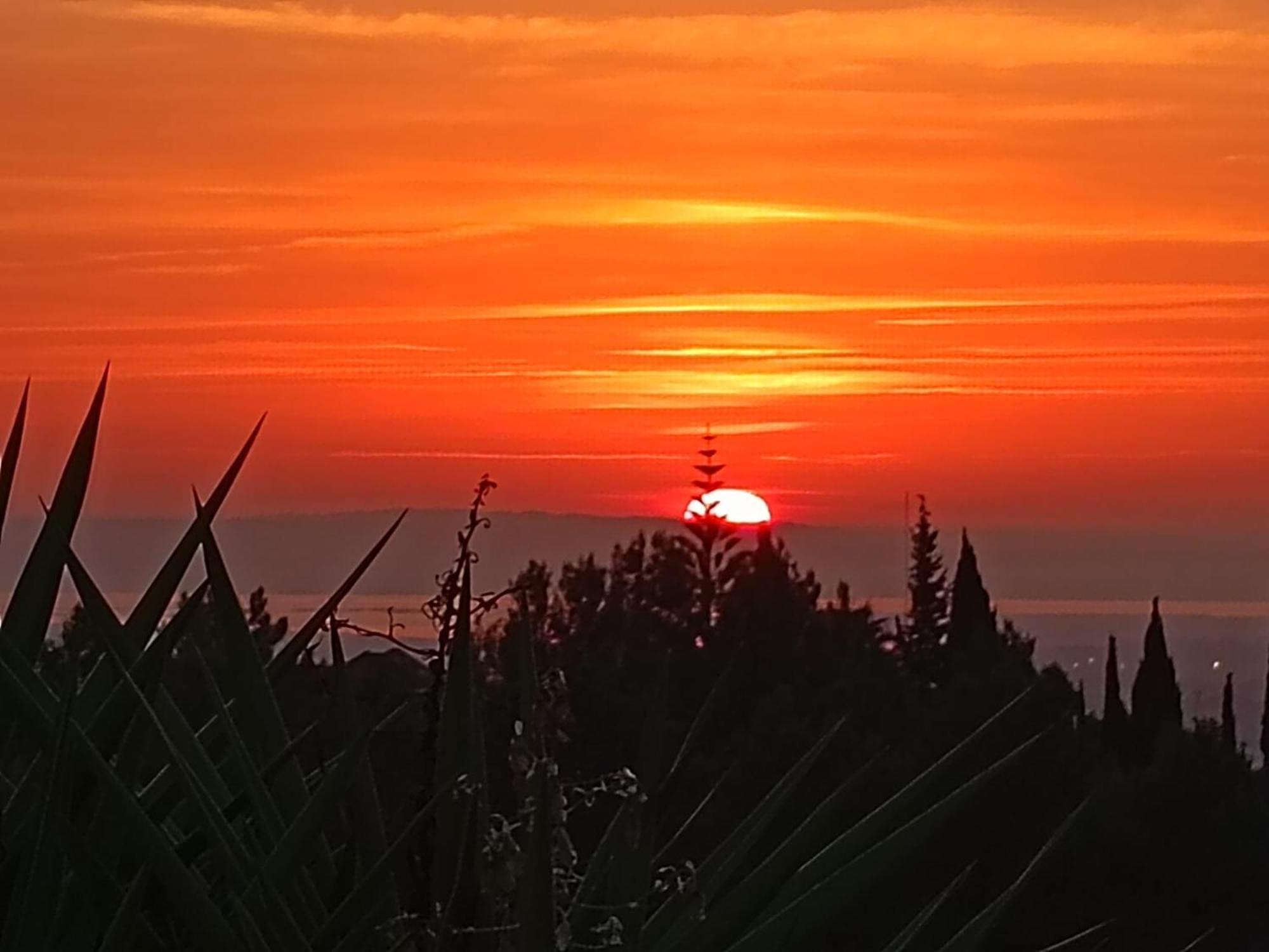 Casal Das Oliveiras Setúbal Buitenkant foto