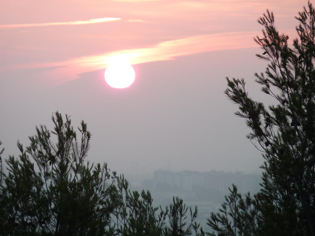Casal Das Oliveiras Setúbal Buitenkant foto