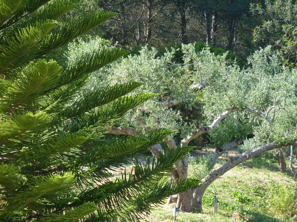 Casal Das Oliveiras Setúbal Buitenkant foto