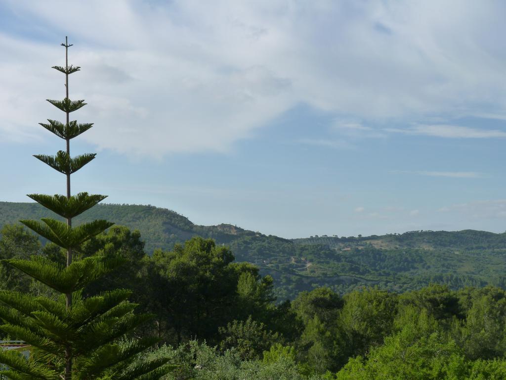 Casal Das Oliveiras Setúbal Buitenkant foto