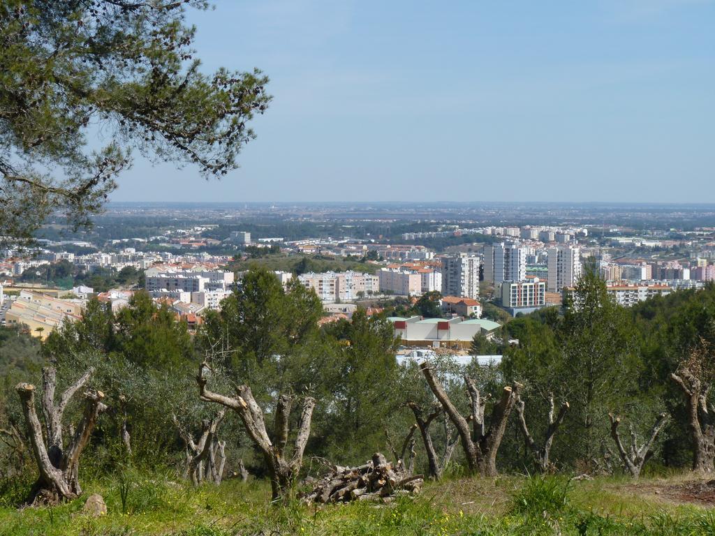 Casal Das Oliveiras Setúbal Buitenkant foto